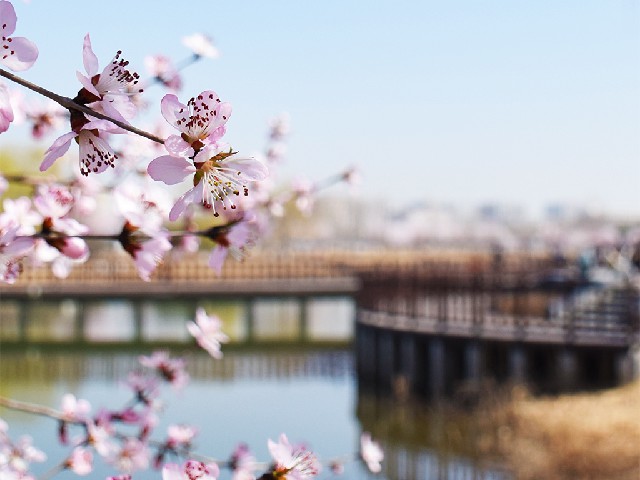 良乡校区北湖一角