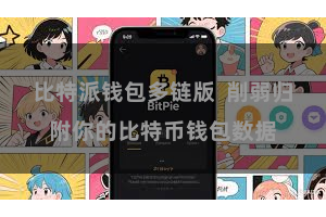 比特派钱包多链版  削弱归附你的比特币钱包数据
