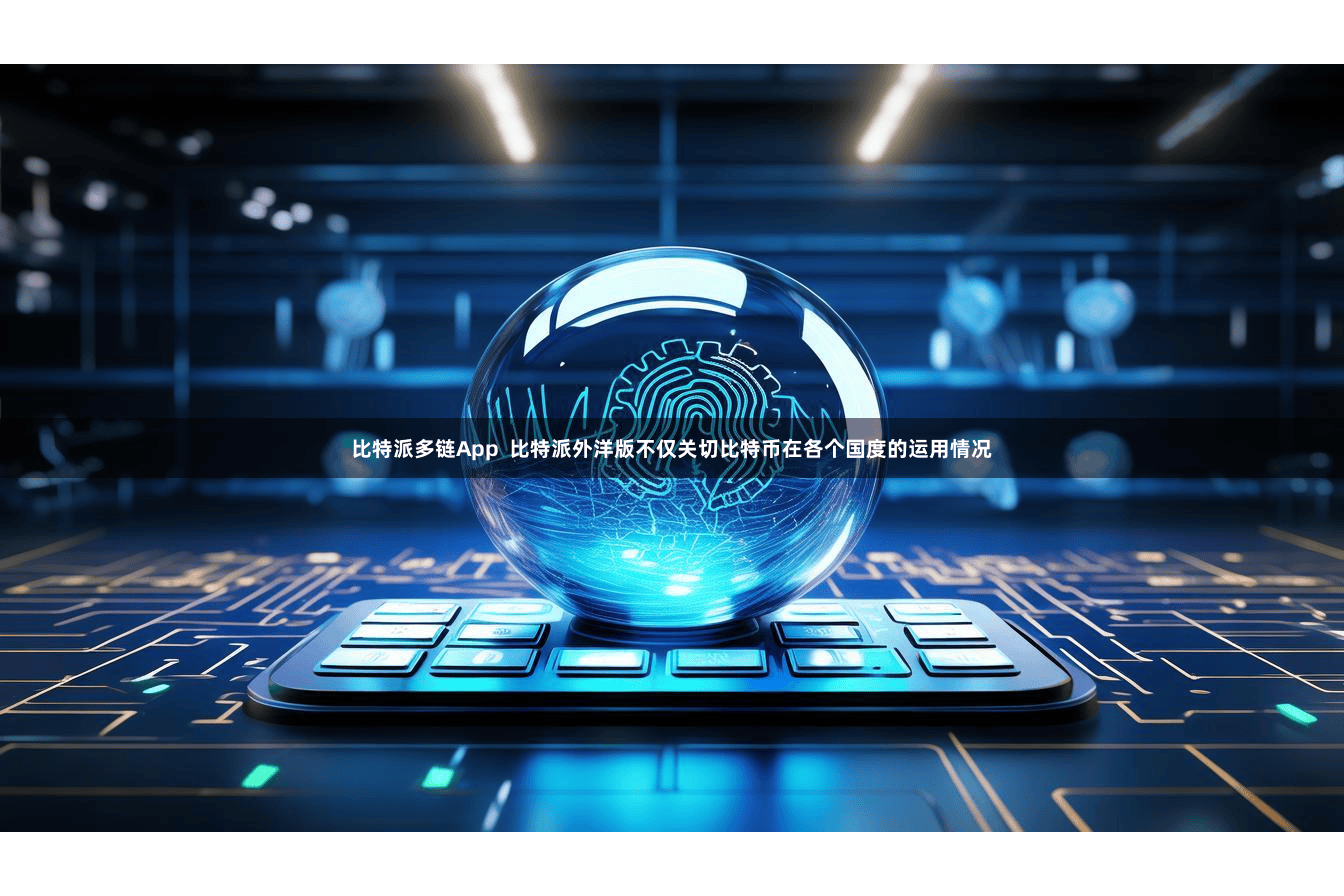 比特派多链App  比特派外洋版不仅关切比特币在各个国度的运用情况