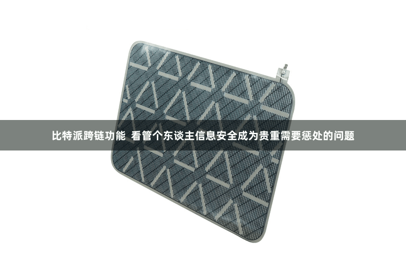 比特派跨链功能  看管个东谈主信息安全成为贵重需要惩处的问题