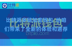 比特派多链加密钱包 给咱们带来了全新的体验和遴荐