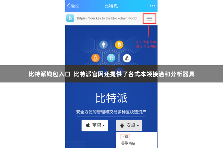 比特派钱包入口 比特派官网还提供了各式本领接洽和分析器具